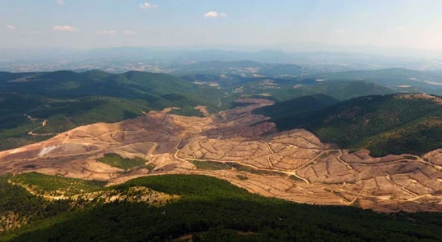 Maden şirketi Kaz Dağları'nda binlerce ağacı kesme peşinde