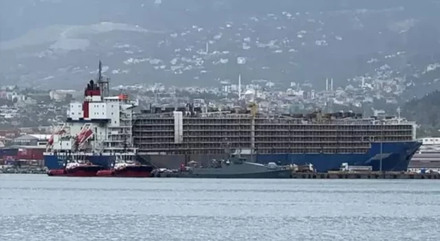 İthal edilen 27 bin angus, dev gemiyle Türkiye'ye getirildi