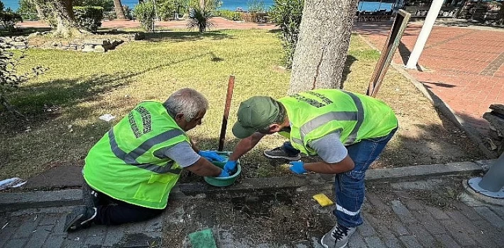 Burhaniye Belediyesi’nden Sokak Hayvanları İçin Özenli Bakım