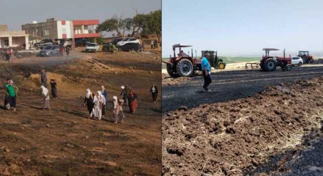 Diyarbakır'da 10 bin dönüm yandı: Afet bölgesi ilan edilsin