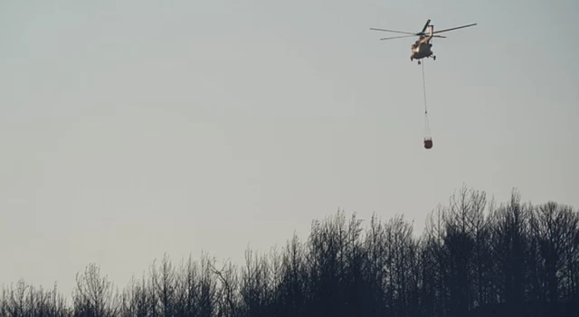 İzmir'deki 3 orman yangını kontrol altına alındı