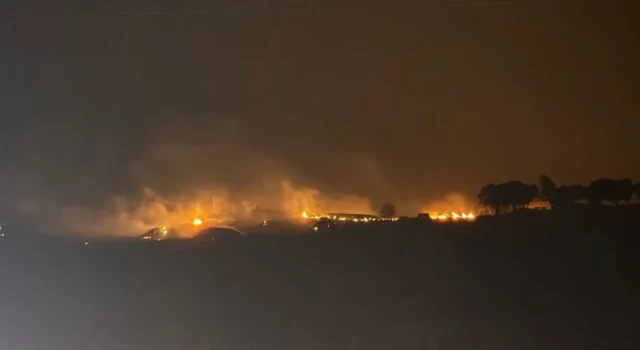 Mardin Tabip Odası'nın ön raporu: Yangına havadan müdahale edilmemesi kayıpların artmasına neden oldu