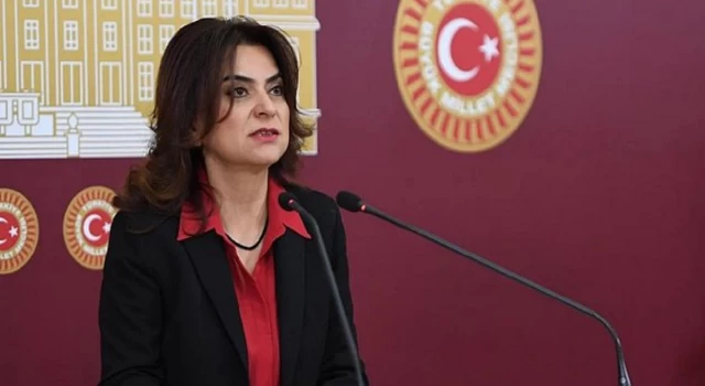 DEM Partili Gülüstan Kılıç Koçyiğit: Vallahi davul zurnayı getirir, Meclis bahçesinde halay çekeriz