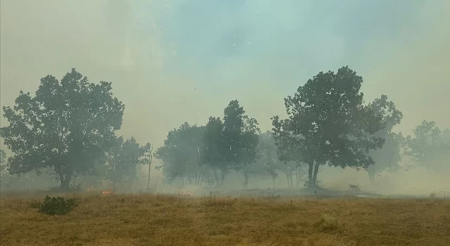 Edirne'de Bulgaristan sınırındaki orman yangınına müdahale ediliyor