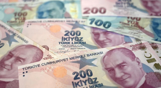 Hazine, 11,1 milyar lira borçlanmaya gitti