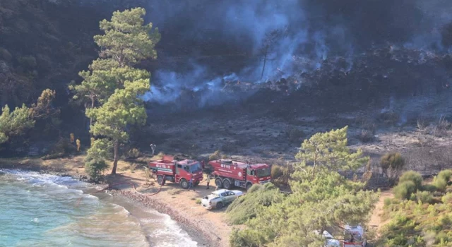 Marmaris'teki orman yangınıyla ilgili 3 kişi gözaltına alındı