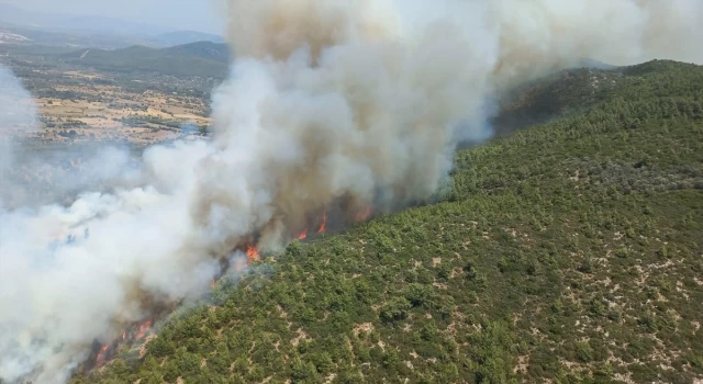 Muğla’da çıkan yangında 100 hektarlık orman alanı zarar gördü