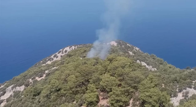 Muğla'nın Ortaca ilçesinde orman yangını çıktı