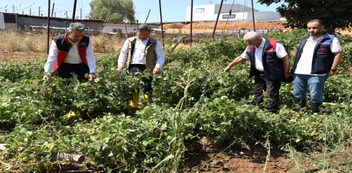 Bilecik Pazaryeri’nde yağıştan zarar gören arazilere yakın mercek