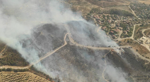 İzmir, Urla'da orman yangını