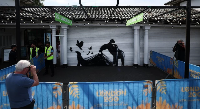 Londra Hayvanat Bahçesi, sokak sanatçısı Banksy'nin son eserini kaldırdı