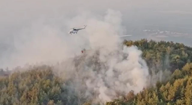 Muğla ve Aydın'daki orman yangınları kontrol altına alındı