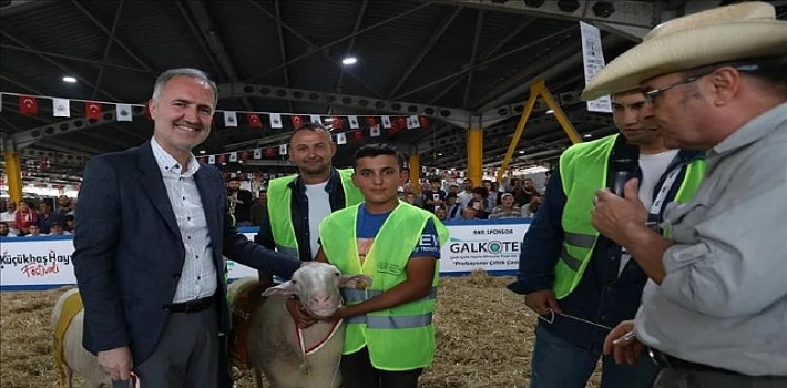 Yerli Tavuk Irkları İle Koçlar İnegöl’de Podyuma Çıkacak