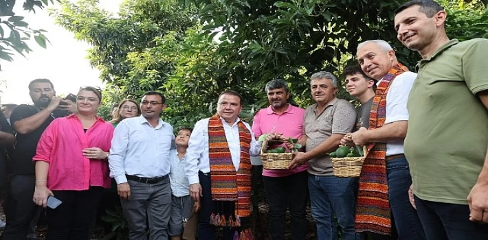 Başkan Böcek’ten avokado ve mango hasadı