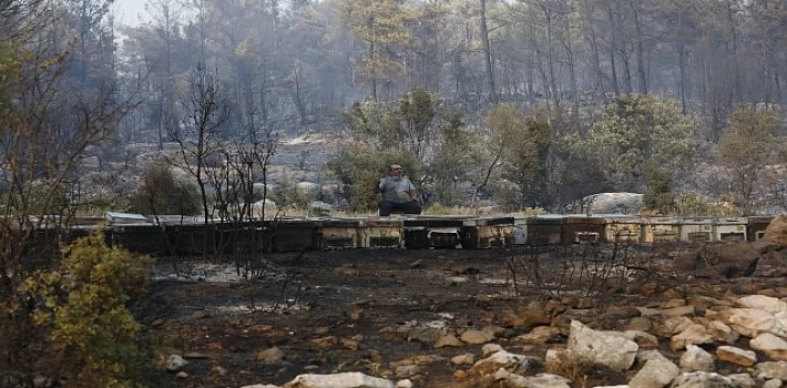 Büyükşehir Yangından Etkilenen Arıcılara Destek Olacak