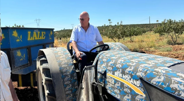 CHP'li Tanal şikayet etmişti: Kamu Denetçiliği Kurumu'ndan dikkat çeken DEDAŞ kararı!