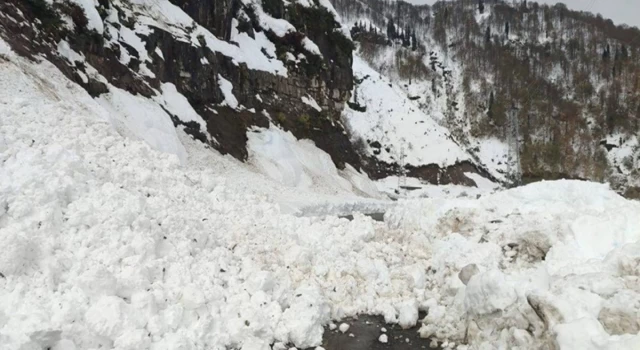 Artvin'de çığ nedeniyle 6 köy yolu ulaşıma kapandı