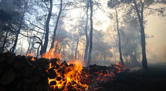 Çanakkale’de orman yangını şüphelisi 2 kişi yakalandı