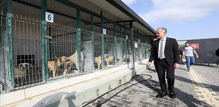 İnegöl’de Sokak Hayvanları İçin Yeni Adımlar Atılıyor