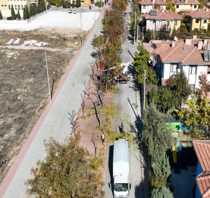 Konya Selçuklu’da ağaçlar budanıyor... Atıklar kompost gübreye dönüştürülüyor