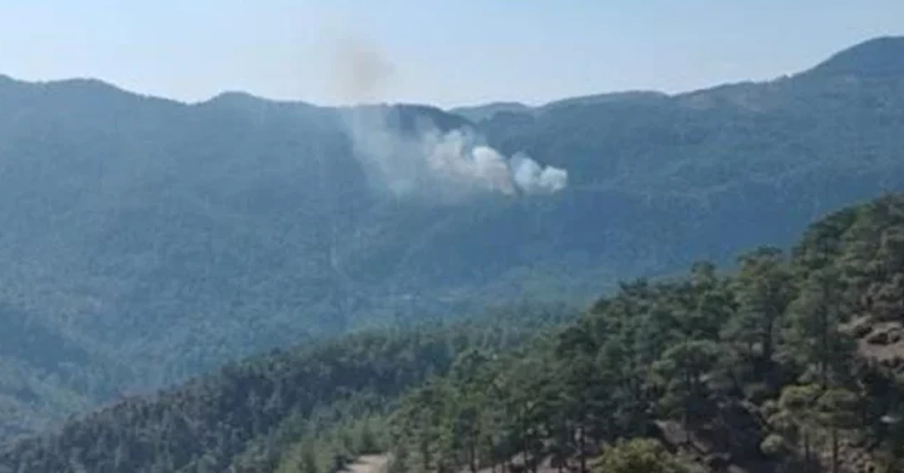 Muğla’nın Köyceğiz ilçesinde orman yangınına müdahale ediliyor