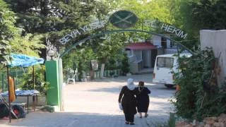 Hatay’da Gadiri Hum Bayramı etkinliklerle kutlanıyor