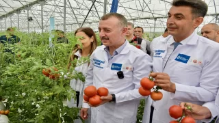 Kocaeli’de volkanik cürufla düşük maliyetli organik tarım yapılıyor