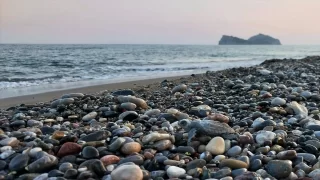 Sarıgerme sahilindeki yuvalardan sezonun ilk caretta caretta yavruları çıktı