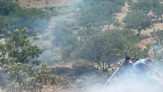 Siirt’te çıkan yangında 10 dönüm fıstık bahçesi zarar gördü