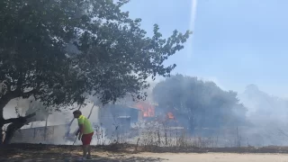 Bodrum’da makilik ve otluk alanda yangın çıktı