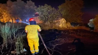 Muğla’da ormanlık alanda çıkan yangına müdahale ediliyor