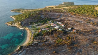 İzmir Aliağa’daki orman yangını kontrol altına alındı