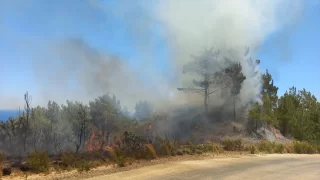 Hatay’da çıkan orman yangını söndürüldü