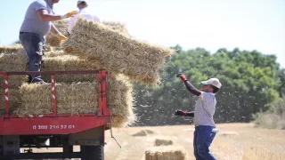 Trakya’da buğday hasadının ardından tarlalarda balya işçilerinin mesaisi başladı