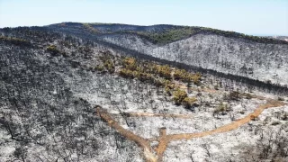 Muğla’da yangından zarar gören alanlar havadan görüntülendi