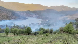 Mersin’de tarım arazisinde çıkan yangın kontrol altına alındı 