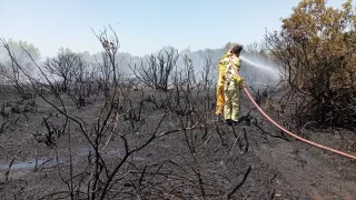 GÜNCELLEME  Manavgat’ta çıkan orman yangını kontrol altına alındı