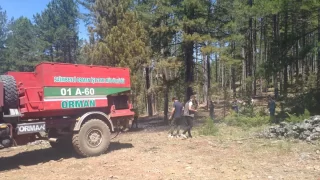 Adana’da çıkan iki orman yangını kontrol altına alındı