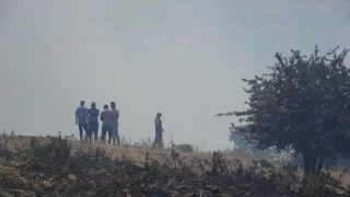 Çanakkale’nin Ayvacık ilçesinde orman yangını