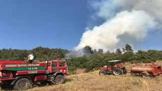 Balıkesir Sındırgı’da çıkan orman yangınına müdahale ediliyor