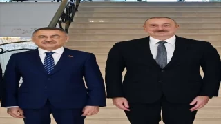 İlham Aliyev, TBMM Dışişleri Komisyonu Başkanı Oktay’ı kabul etti