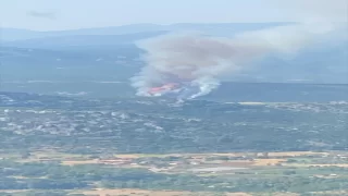 Muğla’da ormanlık alanda yangın çıktı