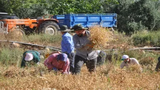 Adana, Mersin ve Hatay’da sıcak hava etkili oluyor 