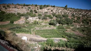 Filistinlilerin nefes aldığı adreslerden ”ElHeviyye pınarı” İsrail’in gasp tehdidi altında