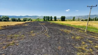 Amasya’da çıkan yangında 4 dönüm buğday ekili alan yandı