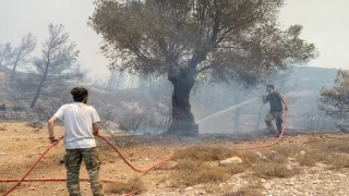 Rodos Adası’ndaki yangın sebebiyle dün gece 19 bin kişi tahliye edildi