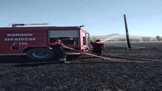 Burdur’da çıkan yangında 40 dönümlük buğday tarlası zarar gördü