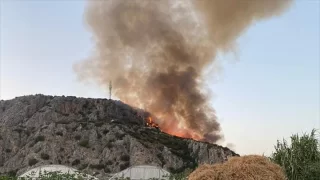 Muğla’da makilik alanda çıkan yangına müdahale ediliyor