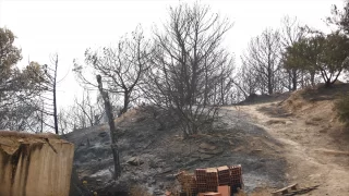 Cezayir’deki orman yangınlarında ölenlerin sayısı 34’e yükseldi   