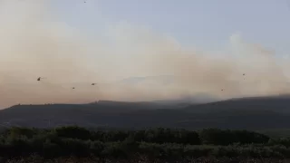 GÜNCELLEME 2  Manisa’nın Saruhanlı ilçesindeki orman yangınına müdahale sürüyor